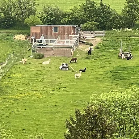 Lägenhet Gemuetliche 3-zimmer-wohnung Mit Panoramablick Und Kostenlosem Ueberdachten Parkplatz *